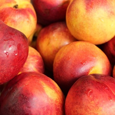 Nectarines